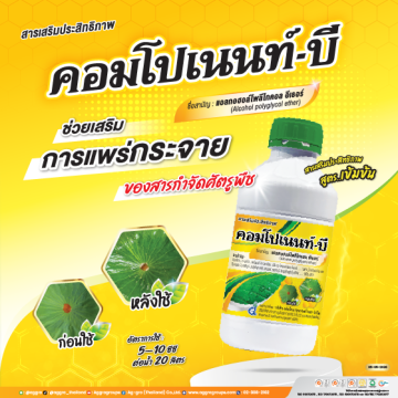 คอมโปเนนท์ บี